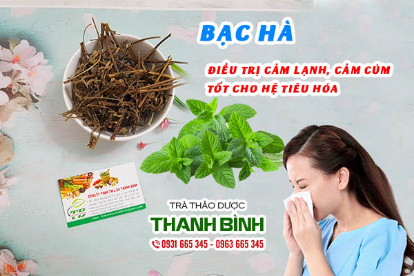 bạc hà