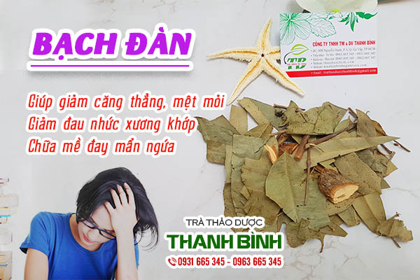 Cây bạch đàn có công dụng chữa bệnh ra sao?