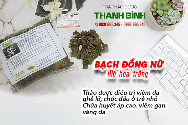 Bạch đồng nữ thu hái tự nhiên tại Thảo dược Thanh Bình