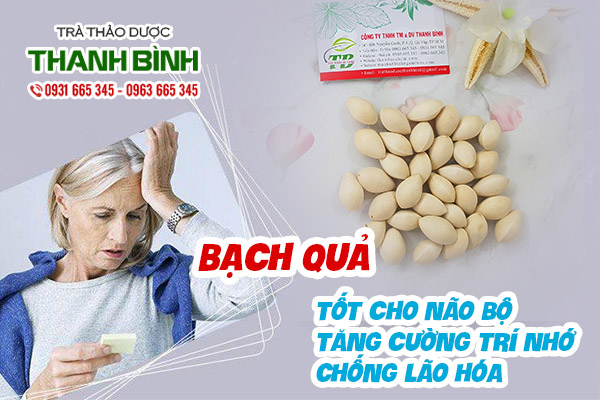 Bạch quả loài cây tốt cho trí não