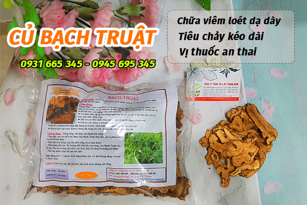 củ bạch truật