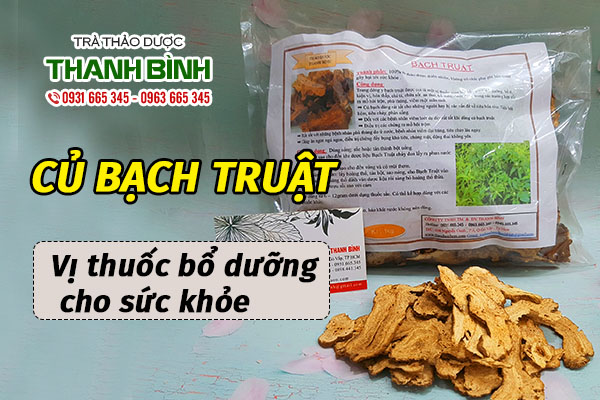 Bạch truật chất lượng có tại Thảo dược Thanh Bình