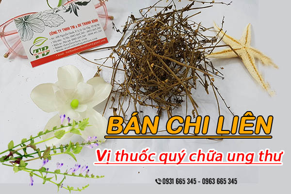 bán chi liên