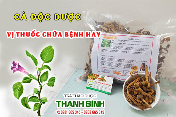 cà độc dược