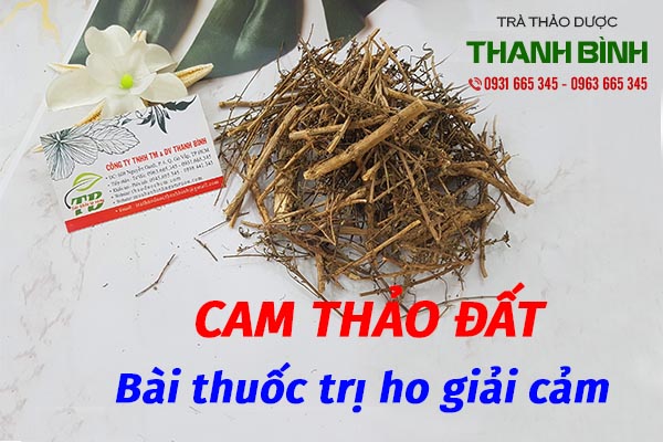 cam thảo đất