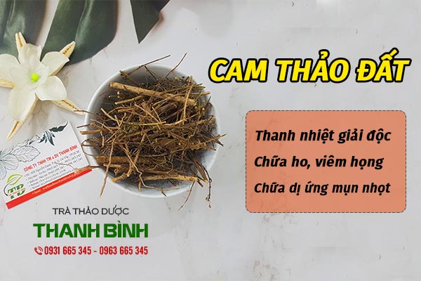 cam thảo đất