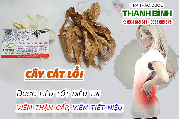 Cát lồi trị những bệnh gì?