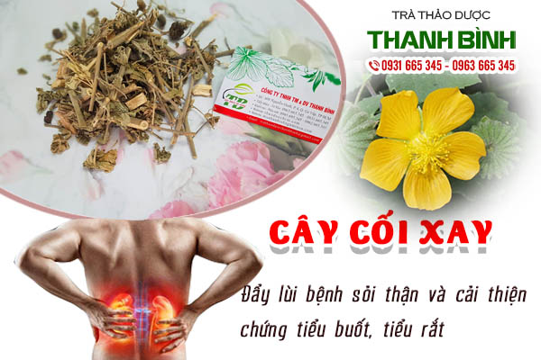 cây cối xay