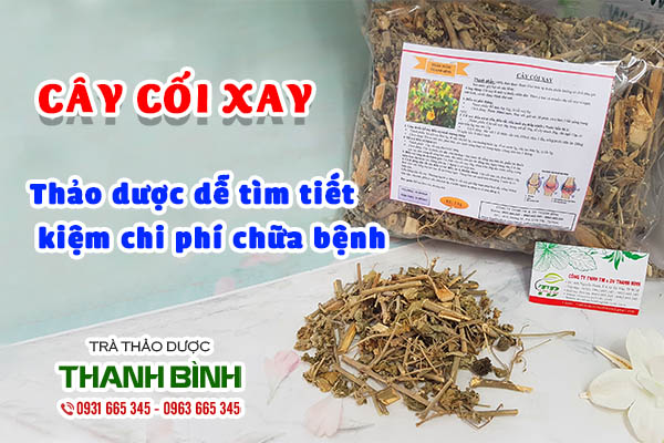 cây cối xay