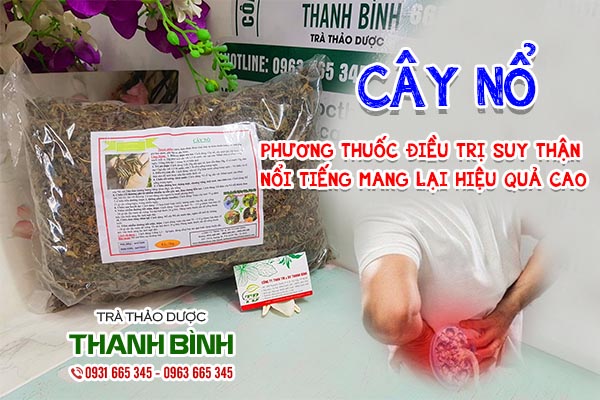 cây nổ