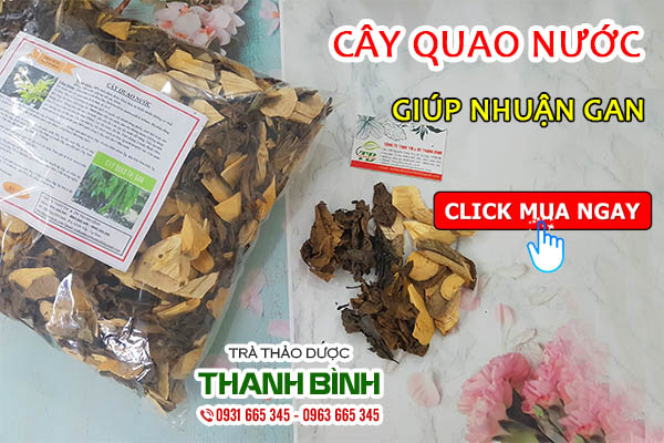 Cây quao nước chất lượng tại thảo dược Thanh Bình