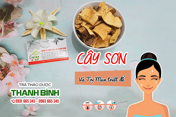 cây sơn