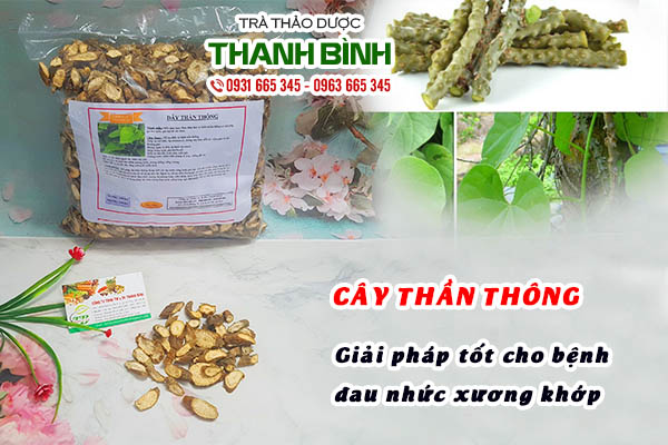 cây thần thông