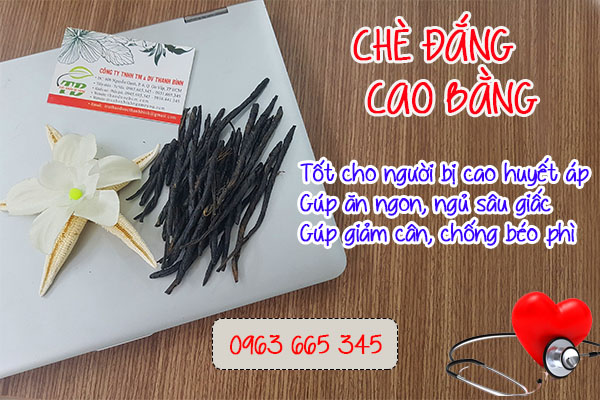 Cách dùng chè đắng Cao Bằng đúng cách