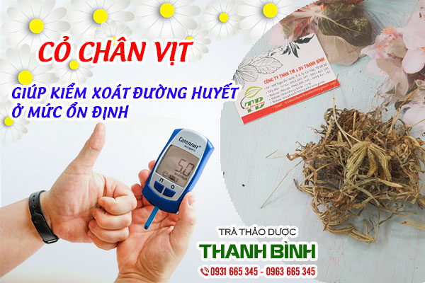 cỏ chân vịt