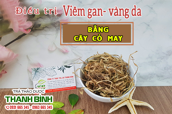 Cỏ may thu hái 100% chất lượng tại Thảo dược Thanh Bình