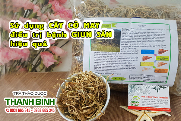 cây cỏ may