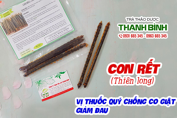 con rết