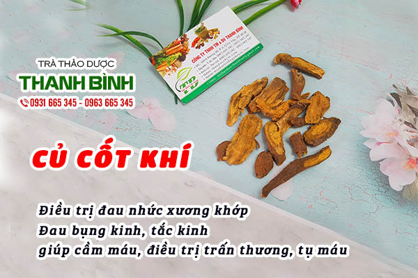 Củ cốt khí chất lượng tại Thảo dược Thanh Bình