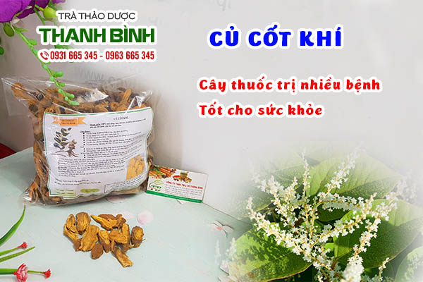 Công dụng của củ cốt khí và những bài thuốc áp dụng