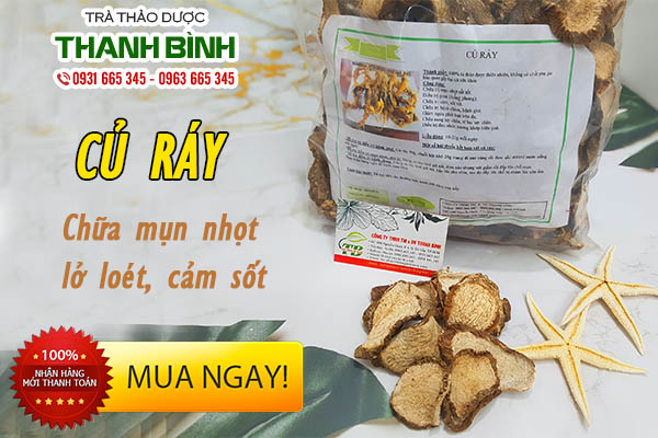 Công dụng và cách dùng củ ráy chữa bệnh gout