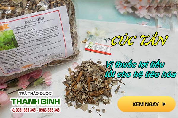 cây cúc tần