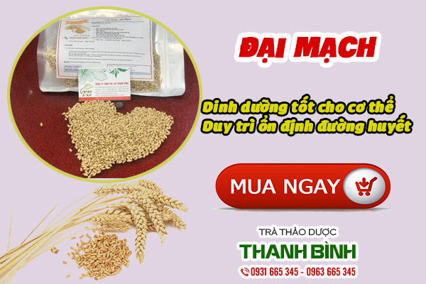 Mua đại mạch 100% nguyên chất tại Thảo dược Thanh Bình