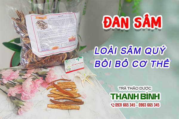 Đan sâm và một số bài thuốc trị bệnh hiệu quả