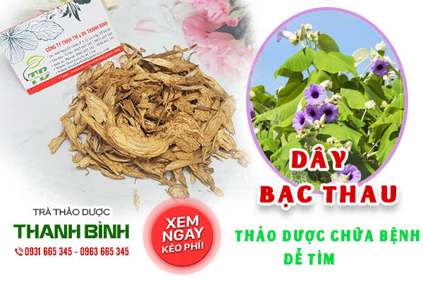 dây bạc thau