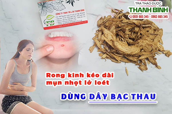 Công dụng dây bạc thau trị bệnh gì?