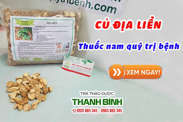 Củ địa liền thu hái tự nhiên tại Thảo dược Thanh Bình