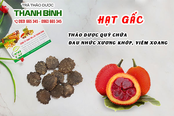 hạt gấc