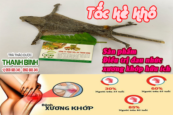 Giới thiệu vị thuốc tắc kè khô