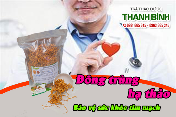 Đông trùng hạ thảo thảo dược Thanh Bình