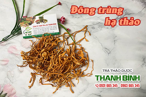 Đông trùng hạ thảo thảo dược Thanh Bình