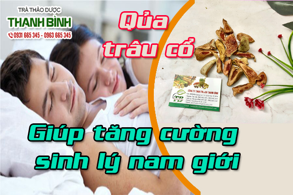 Quả trâu cổ dùng sao cho đúng cách?