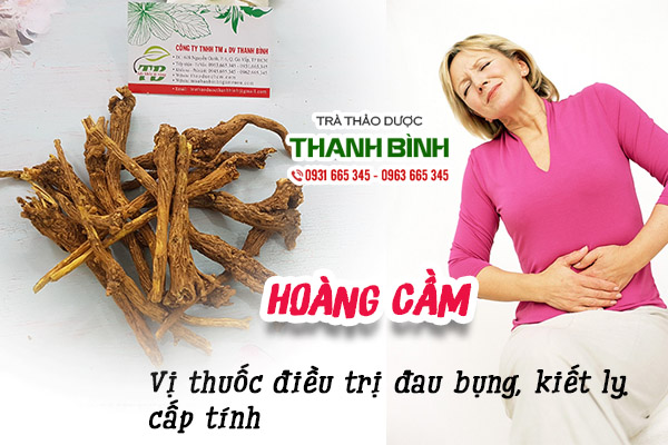 Giới thiệu dược liệu hoàng cầm