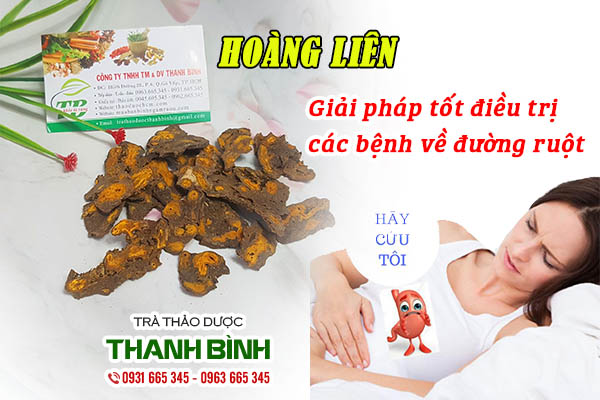 Giới thiệu về dược liệu hoàng liên