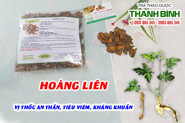 Những công dụng chữa bệnh hay từ vị thuốc hoàng liên