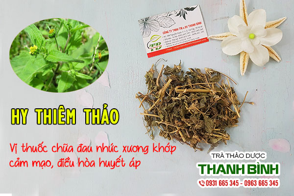 hy thiêm thảo