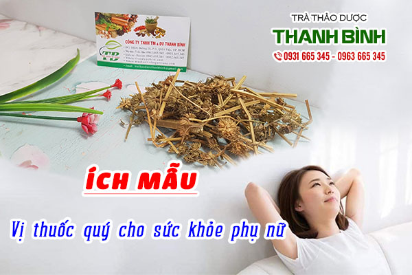 Ích mẫu vị thuốc quý cho phụ nữ