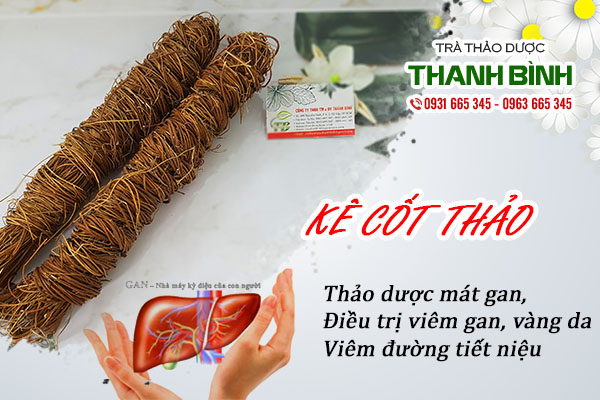 Một số công dụng của kê cốt thảo