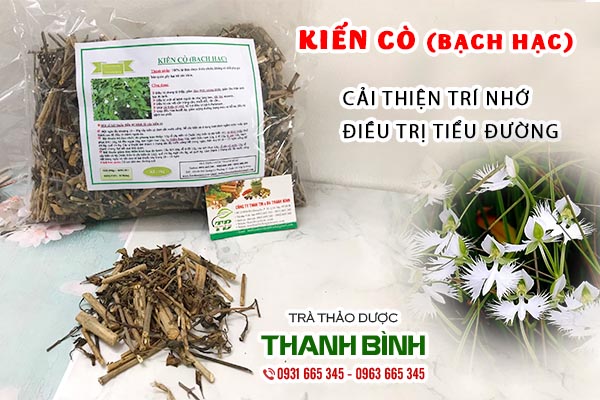 cây kiến cò