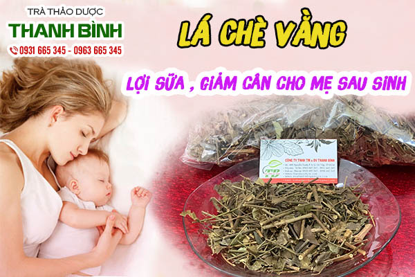 lá chè vằng