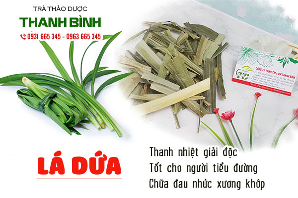 Giới thiệu đặc điểm lá dứa