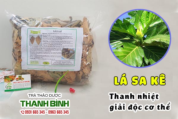 Những công dụng trị bệnh của lá sa kê