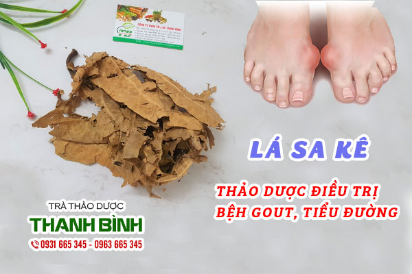 Lá sa kê và đặc điểm nhận biết