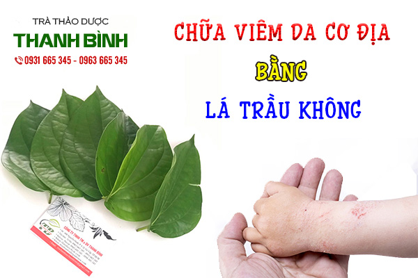 Lá trầu không chữa bệnh gì?