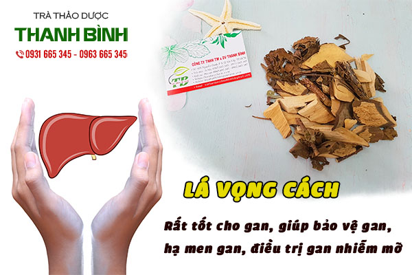 Tìm hiểu về cây lá vọng cách