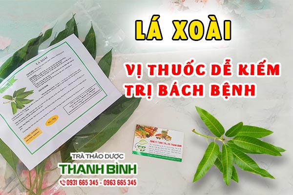 Những tác dụng mà lá xoài đem lại